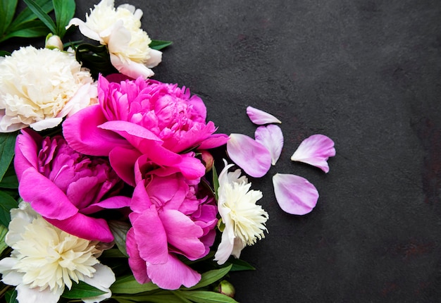 Borde de flores de peonía rosa fresca con espacio de copia sobre fondo negro, plano laical.