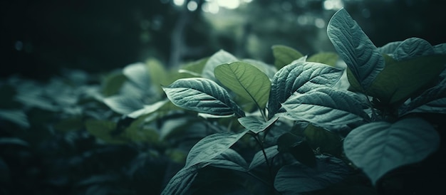 Borde de fondo natural con hojas frescas y jugosas Imagen generada por AI