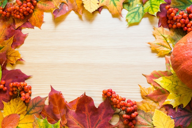 Borde de hojas de otoño, calabaza y sorba en tablero de madera. Copia espacio Concepto de otoño