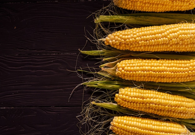 Borde de la mazorca de maíz fresco con las mazorcas de maíz dispuestas en una fila sobre un fondo oscuro