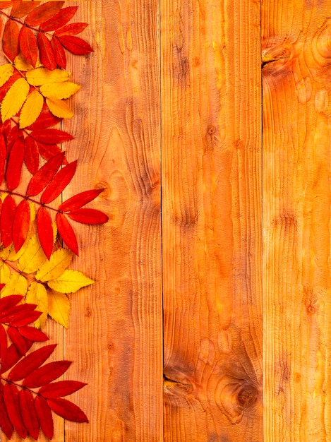 El borde de otoño hecho de hojas en madera.