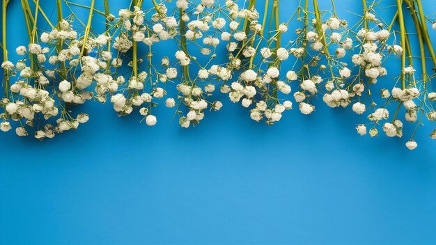El borde superior hecho con flores de aliento de bebés blancos sobre fondo azul