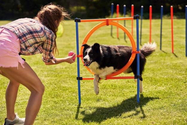 Border Collie Hund und eine Frau auf einem Agility-Feld