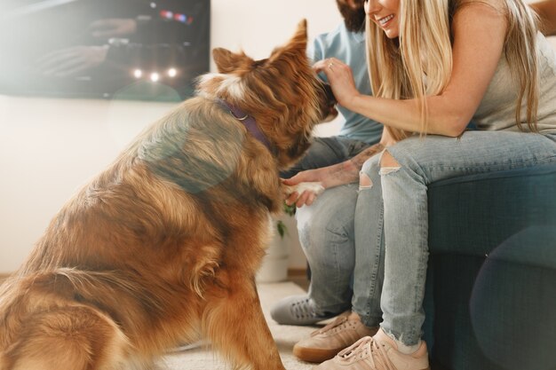 Border collie perro sentado a los pies de la pareja de propietarios