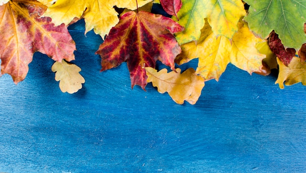 Bordo de outono colorido deixa na mesa de madeira