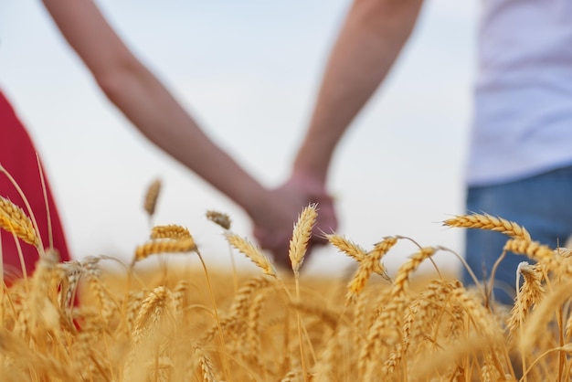 Foto borrosa suave de pareja tomados de la mano en el campo de trigo