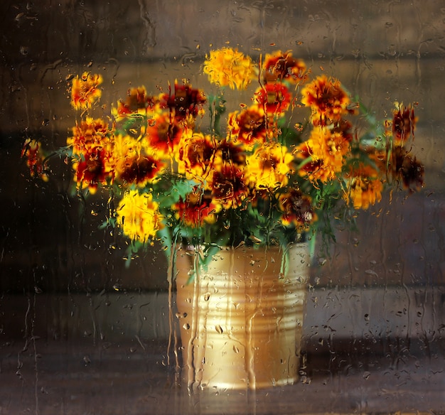 Borroso ramo de flores de otoño detrás del vidrio con gotas de lluvia