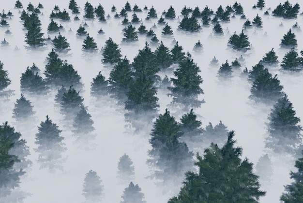 Un bosque de abetos en la niebla. Representación 3d