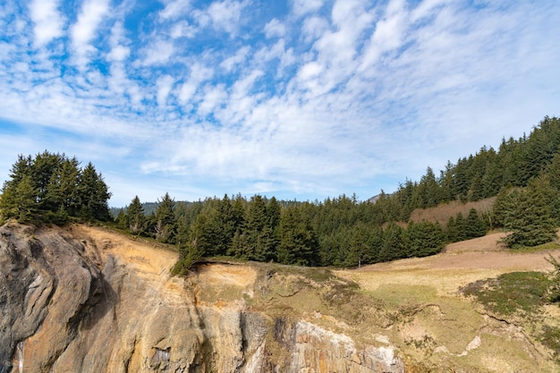 Bosque de abetos de pino en el acantilado de la montaña en oregon