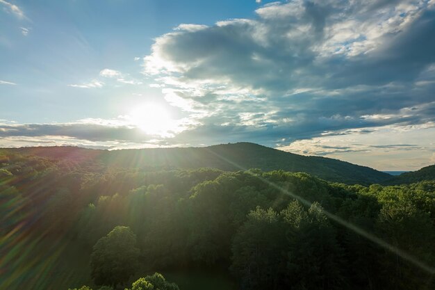 Bosque aéreo en día soleado de verano desde arriba. Sol y llamarada de sol.