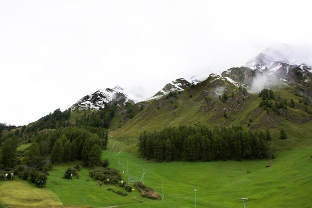 Bosque de árboles alpinos en la montaña con la cordillera más alta y extensa de los Alpes en Samnaun, un pueblo alpino alto en la región de Graubunden en Suiza