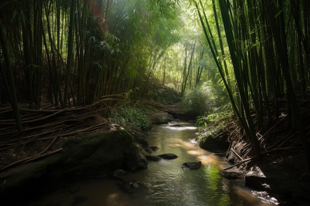 Bosque de bambú iluminado por el sol con vegetación suave con un arroyo