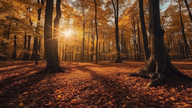 Un bosque con un camino y árboles con el sol brillando sobre él.