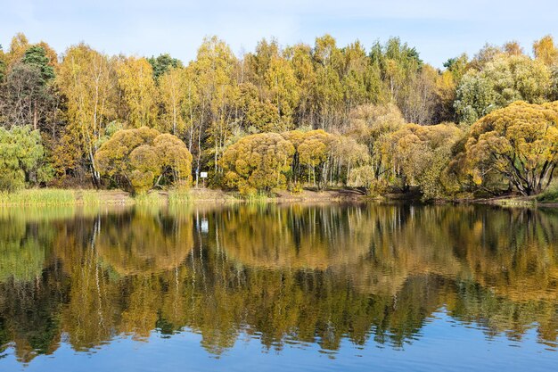 Bosque colorido en la orilla del estanque en el parque en otoño