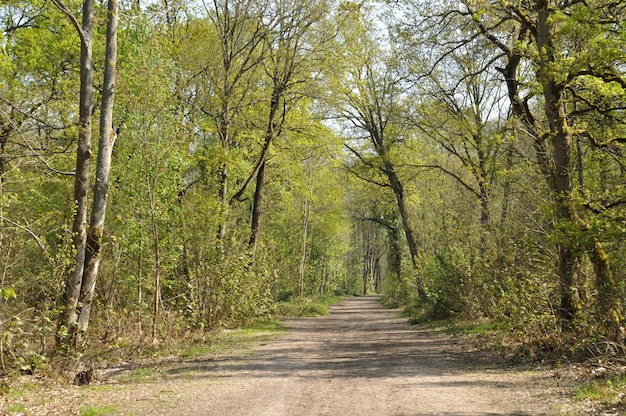 Bosque comunal de Saint-Pierre-LÃ¨s-Elbeuf