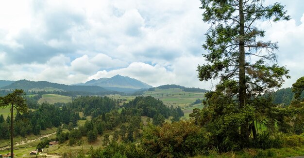 Bosque, cordillera del volcán nevado de Toluca