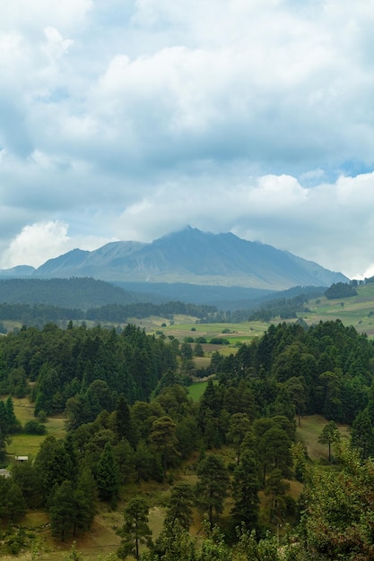 Foto bosque, cordillera del volcán nevado de toluca