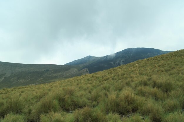 Foto bosque, cordillera del volcán nevado de toluca