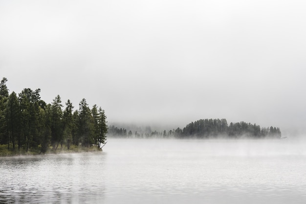 Bosque cubierto de niebla en la orilla de un lago de montaña en el distrito de Ulagansky de la república de Altai, Rusia