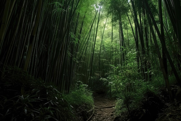 Bosque de bambu na floresta tropical escura com árvores imponentes e rica vegetação