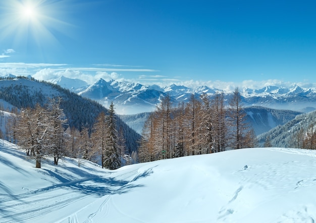 Foto bosque de inverno perto do maciço montanhoso dachstein e pista de esqui (áustria)