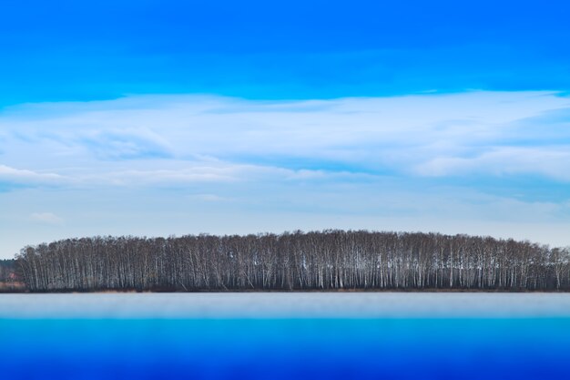 Bosque dramático en el fondo del horizonte del río hd