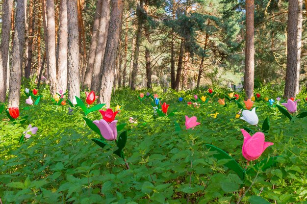 Foto bosque encantado con figuras de madera