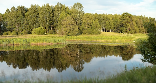 El bosque de hoja caduca se refleja en una superficie lisa de agua del lago