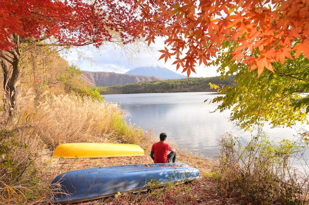 Foto bosque con hojas de color amarillo dorado en otoño, hermoso paisaje otoñal con árboles amarillos y sol.