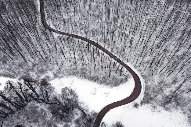 Foto bosque de invierno y camino. vista superior.