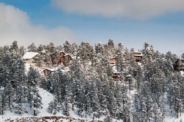 Bosque de invierno cerca de Evergreen, Colorado.