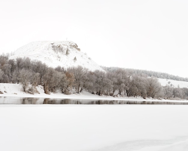 Bosque de invierno a orillas del río Don en el fondo de las montañas de tiza Congelación