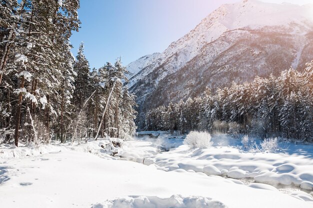 Bosque de invierno y río de montaña en un día soleado. Hermoso paisaje de invierno.