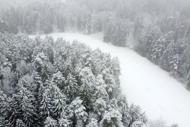 Bosque de invierno con vista aérea de árboles nevados Paisaje aéreo de la naturaleza de invierno con árboles de río congelado