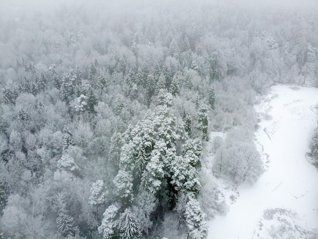 Bosque de invierno con vista aérea de árboles nevados Paisaje aéreo de la naturaleza de invierno con árboles de río congelado