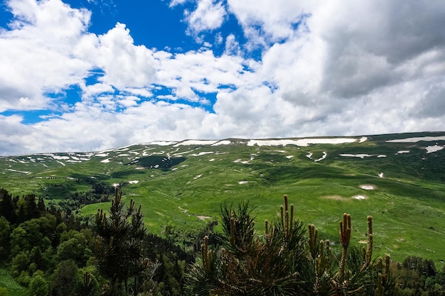 Un bosque junto a las rocas con vistas a los prados alpinos La meseta de LagoNaki en Adygea Rusia 2021