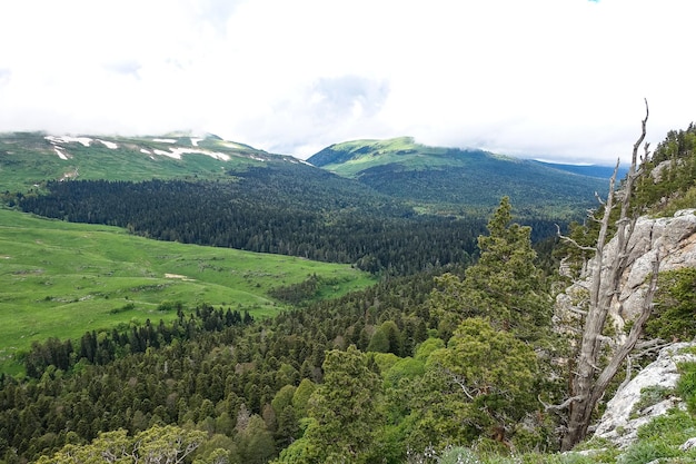 Un bosque junto a las rocas con vistas a los prados alpinos La meseta de LagoNaki en Adygea Rusia 2021