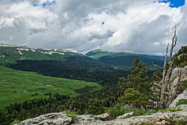 Un bosque junto a las rocas con vistas a los prados alpinos La meseta de LagoNaki en Adygea Rusia 2021