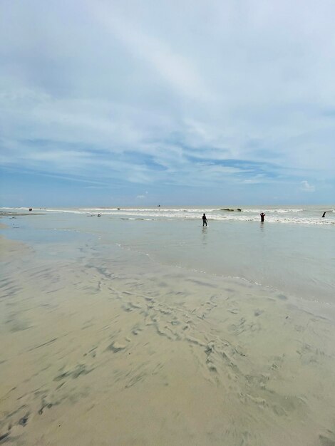 Foto bosque de manglares con hermosa playa marítima