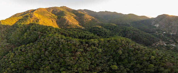 bosque mediterraneo