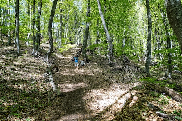 Un bosque misterioso en las montañas Demerji El Valle de los Fantasmas Crimea Rusia 2021