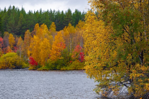 Bosque mixto con follaje colorido junto al lago. Paisaje de otoño, República de Karelia, Rusia.