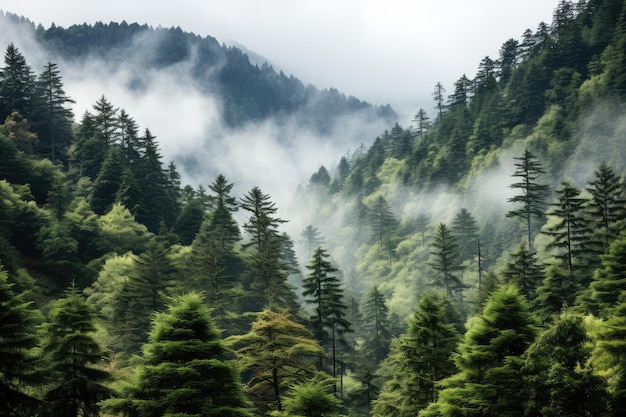 un bosque de montaña con árboles altos, niebla y niebla, fondo sombrío generado por IA