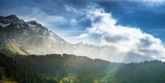 Bosque y montaña contra el cielo en Suiza