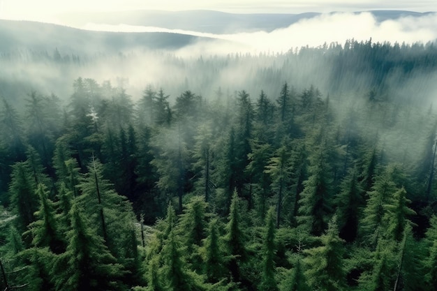 Un bosque con una montaña neblinosa al fondo IA generativa