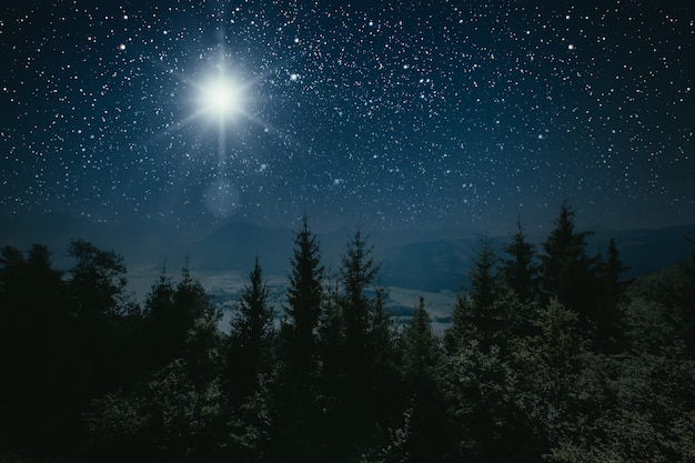 Bosque de montaña por la noche, cielo con estrellas.