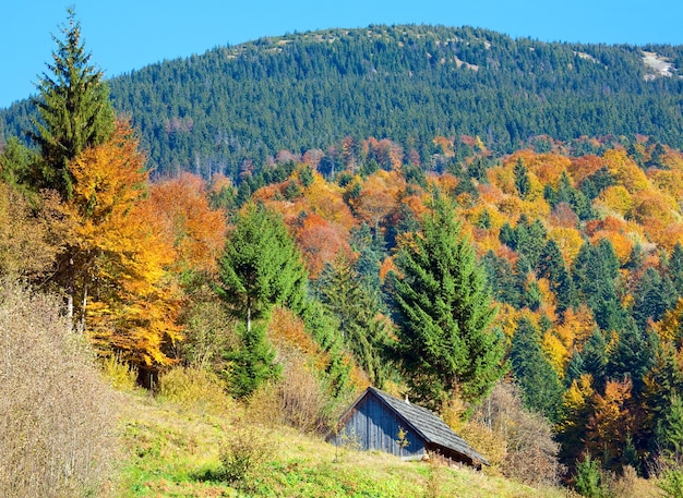 Bosque de montaña de otoño soleado y cobertizo de madera, en la ladera de la montaña