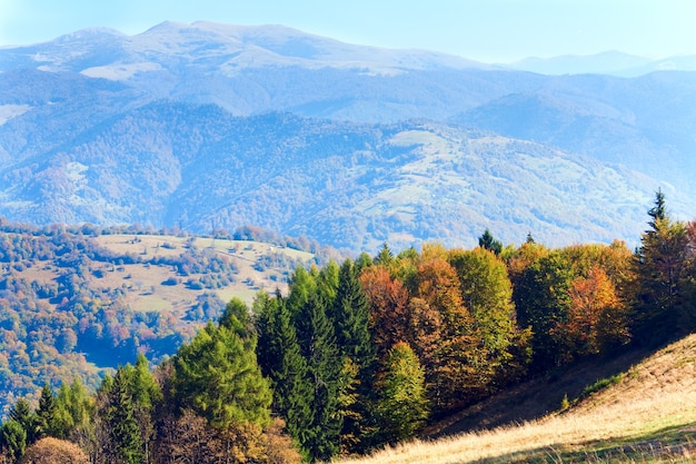 Bosque de montaña de otoño soleado (en la ladera de la montaña). (Cárpatos, Ucrania).