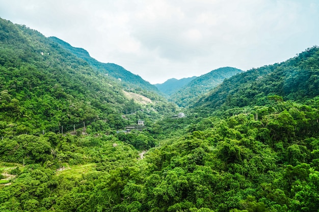 Bosque en la montaña de Taipei, vista desde la góndola Maokong al mediodía, Taiwán.