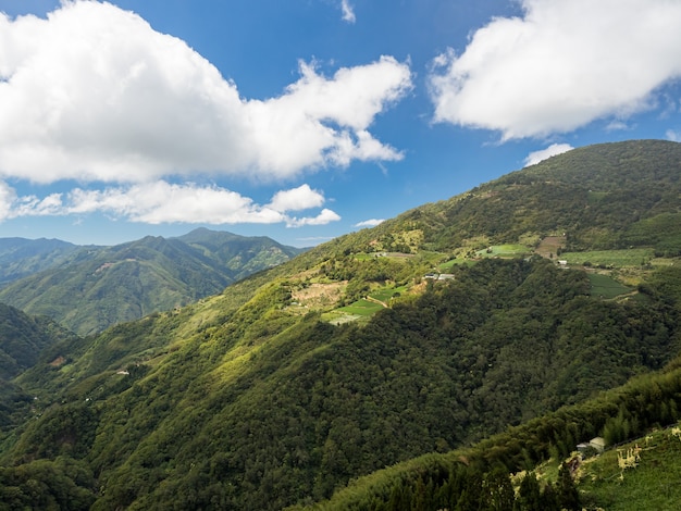 Bosque de montaña verde en Taiwán.